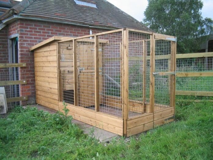 diy outdoor dog kennel