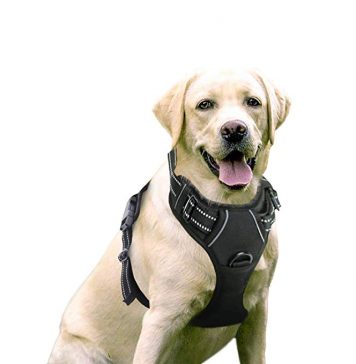 Best dog harness for stopping pulling 1