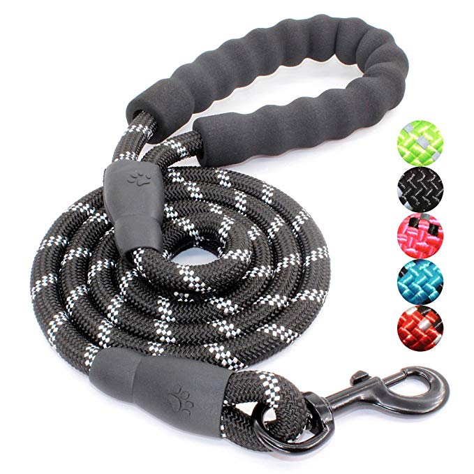 Best dog leash for chewers