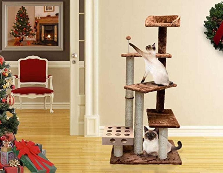 Best Cat Tree for Bengal Cats – 2022 Review