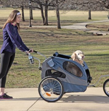Best pet stroller for dog