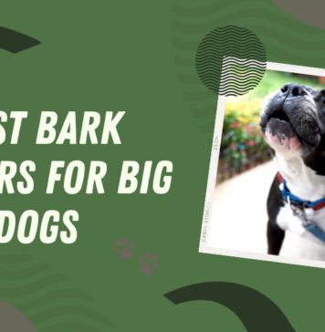 Bark Collars for Large Dogs