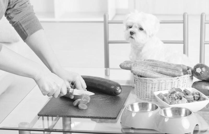 Can Dogs Eat Raw Meat Vs Home Cooking photo 1