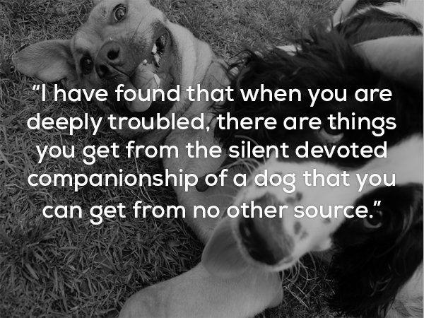 Top Greatest Dog Quotes And Sayings With Images photo 1