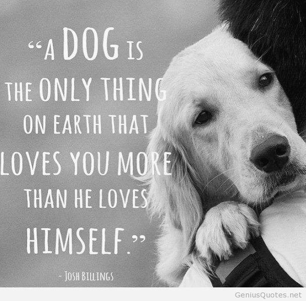 Top Greatest Dog Quotes And Sayings With Images photo 3