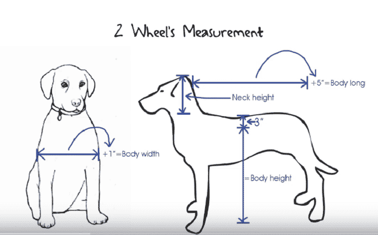 2 wheels measurement