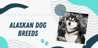 Alaskan Dog Breeds
