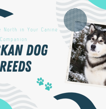 Alaskan Dog Breeds