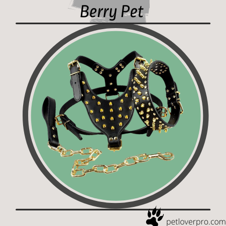 Berry Pet