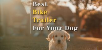 Best Bike Trailer For Your Dog