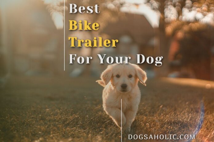 Best Bike Trailer For Your Dog