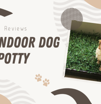 Best Indoor Potty for Dogs