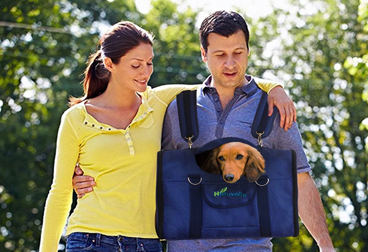 best wearable dog carrier.