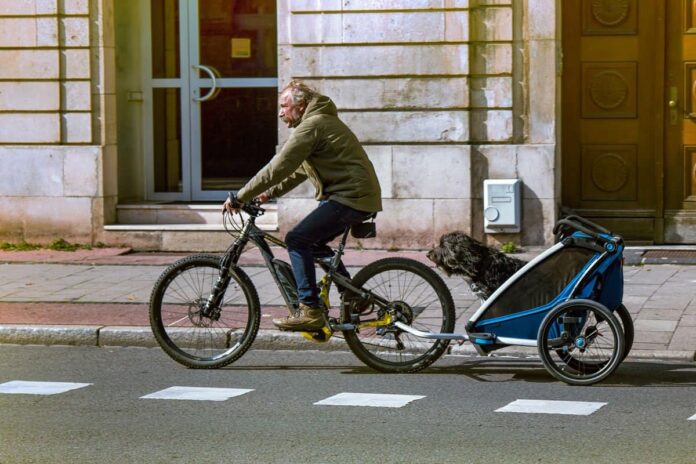 Bike Trailer