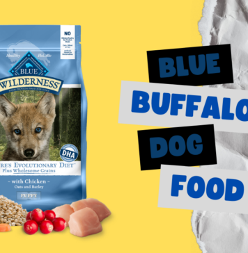 Blue Buffalo Dog Food