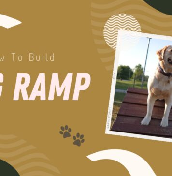 Building a Dog Ramp Step by Step