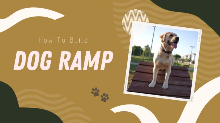 Building a Dog Ramp Step by Step