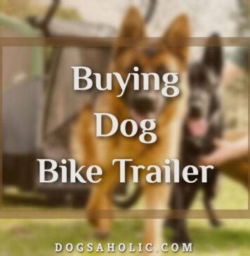 Buying Dog Bike Trailer