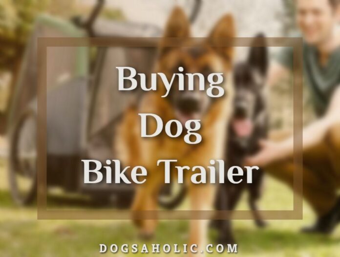 Buying Dog Bike Trailer
