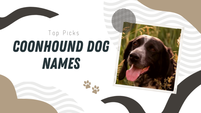 Coonhound Dog Names