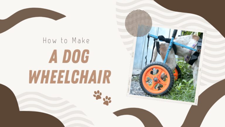 DIY Dog Wheelchair