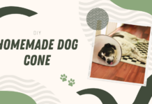 DIY Homemade Dog Cone