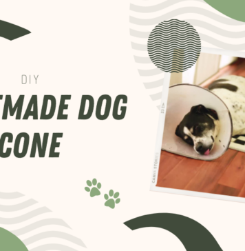 DIY Homemade Dog Cone