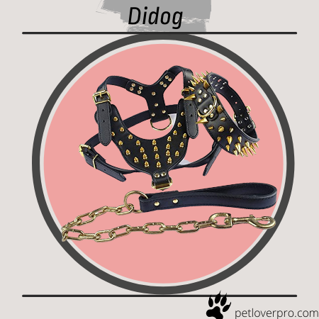 Didog