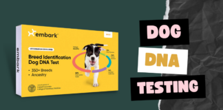 Dog Dna Testing