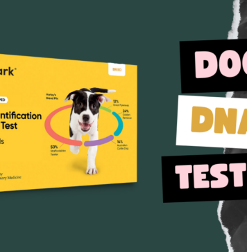 Dog Dna Testing
