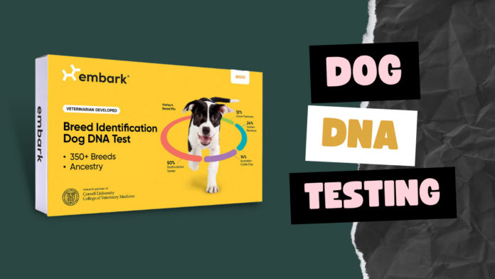 Dog Dna Testing