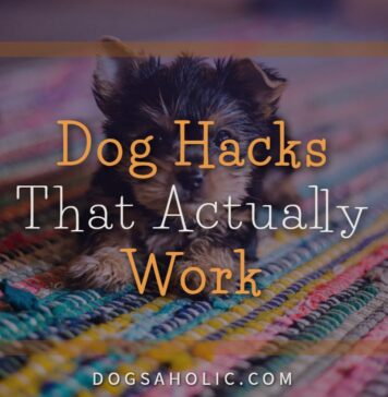 Dog Hacks That Actually Work