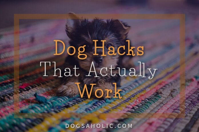 Dog Hacks That Actually Work