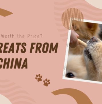 Dog Treats From China