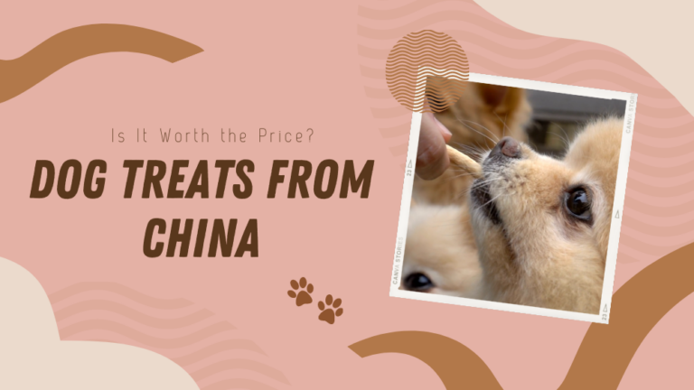 Dog Treats From China