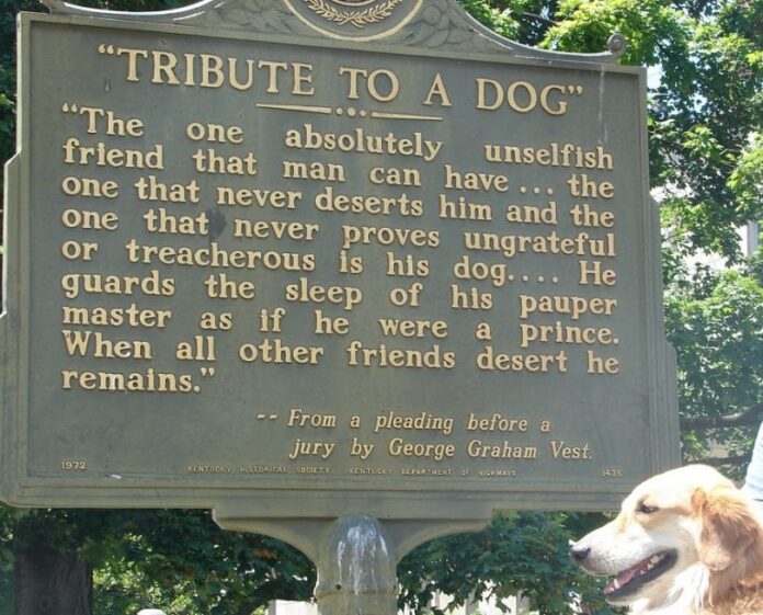 Dog tribute