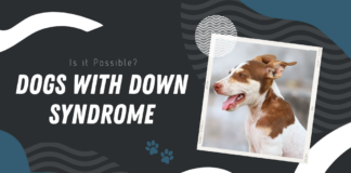Dogs with Down Syndrome