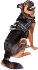 Friends forever no pull dog harness