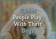 Games People Play With Their Dogs