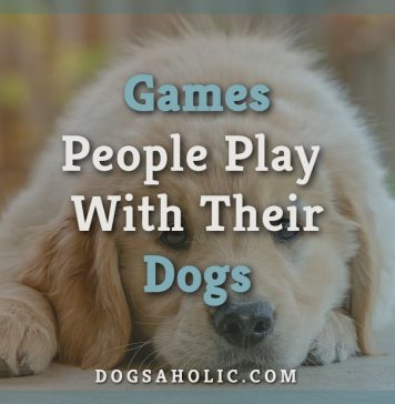 Games People Play With Their Dogs