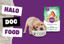 Halo Dog Food