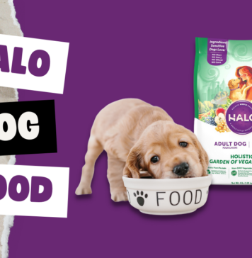 Halo Dog Food
