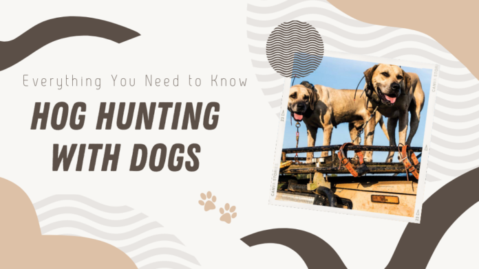 Hog Hunting Dogs