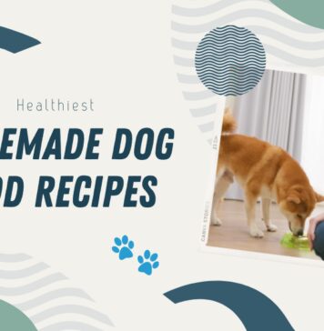 Homemade vet approved Dog Food Recipes