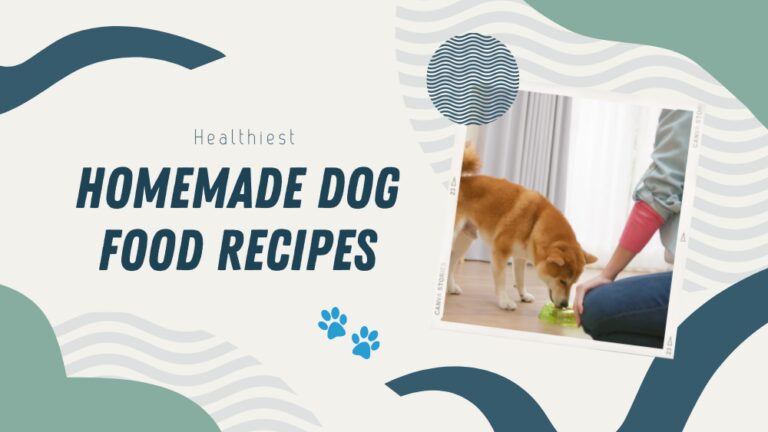Homemade vet approved Dog Food Recipes