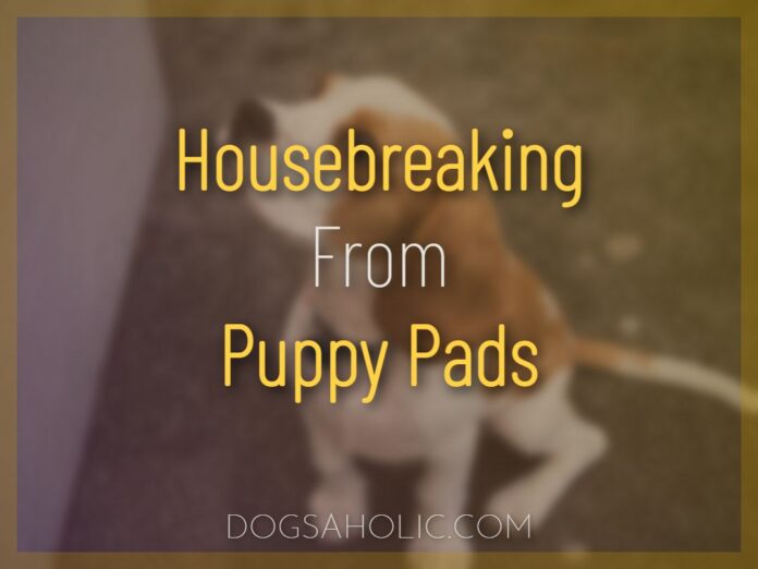 Housebreaking From Puppy Pads