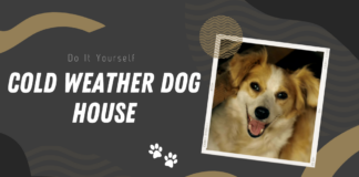 How to Make DIY cold weather dog house