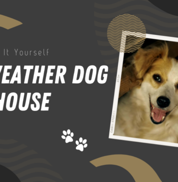 How to Make DIY cold weather dog house
