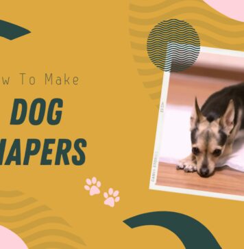 How to Make Dog Diapers