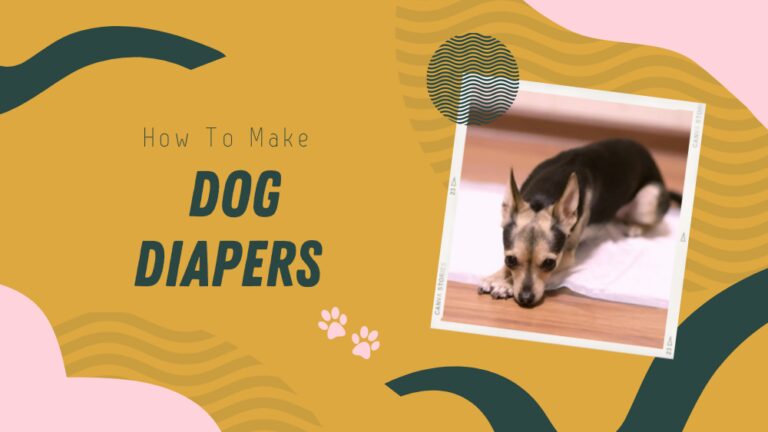 How to Make Dog Diapers